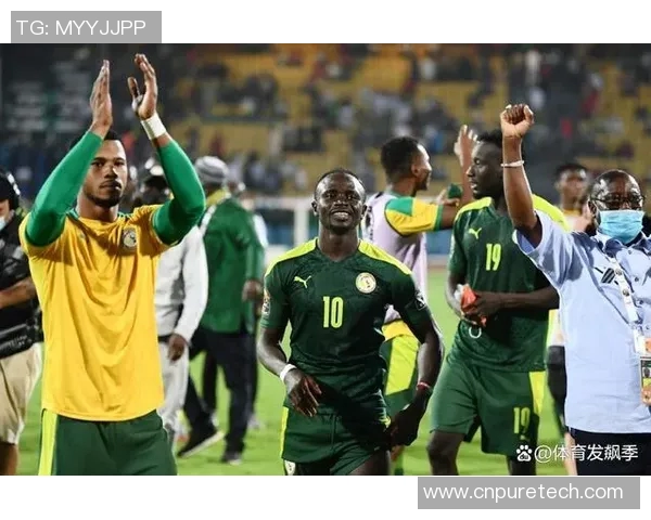 喀麦隆球星在世界足坛的辉煌历程与非洲足球的传奇力量
