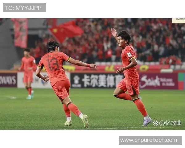 中国球迷热爱足球明星的背后：谁是他们心中的偶像与支持者