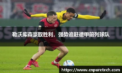 中欧体育官网