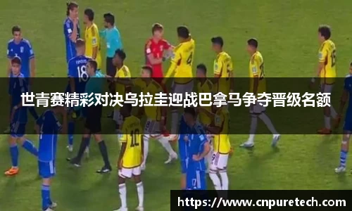 中欧体育网址