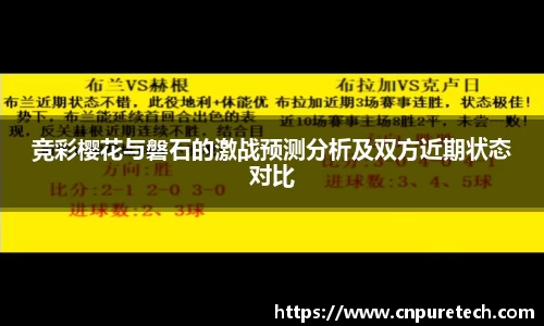 中欧体育官网